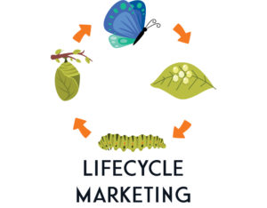 Illustration of the life cycle of a butterfly with the words lifecycle marketing underneath.